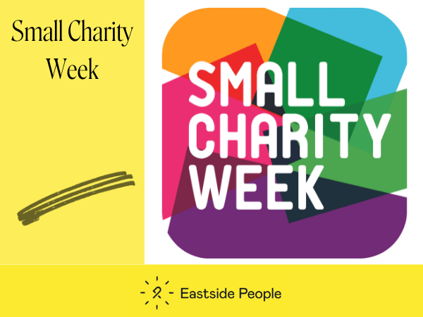 Small Charity Week Website Insight