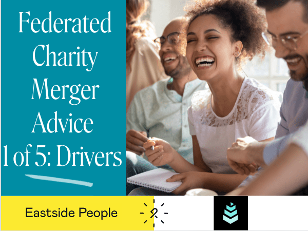 Merger Advice for Federated charities merger blog 1 of 5 Steve Chu website post