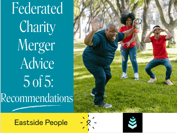 Merger Advice for Federated charity networks blog 5 of 5 Steve Chu website post V2