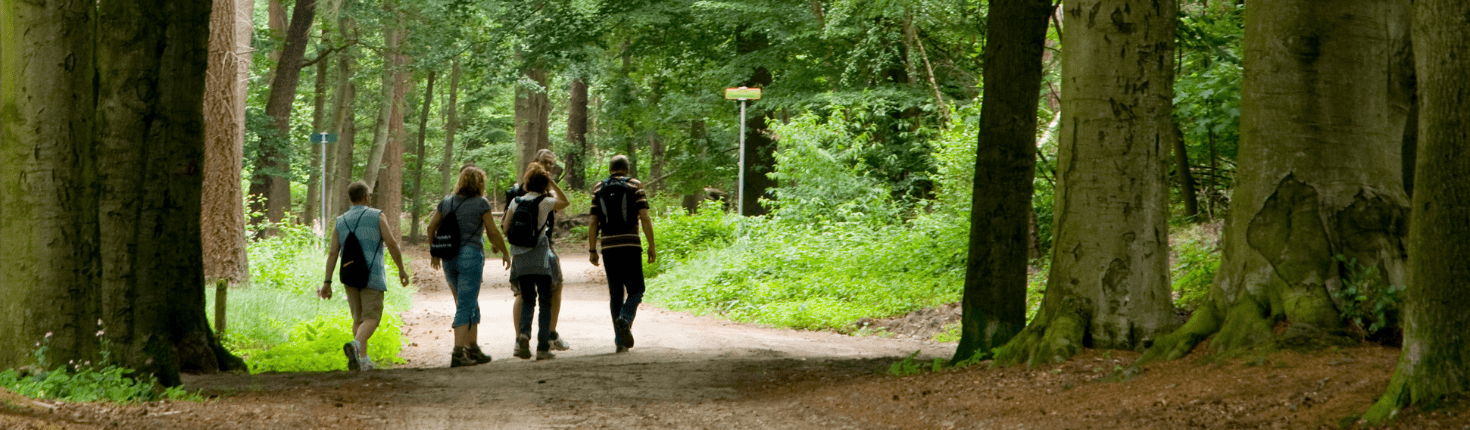 People in a forest, ESG Q&A banner