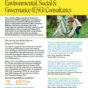 Eastside People Environmental, Social, Governance (ESG) Services Factsheet website post (300 x 300) page 1