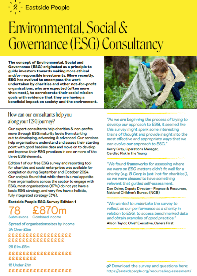 Charity consultants ESG Fact sheet