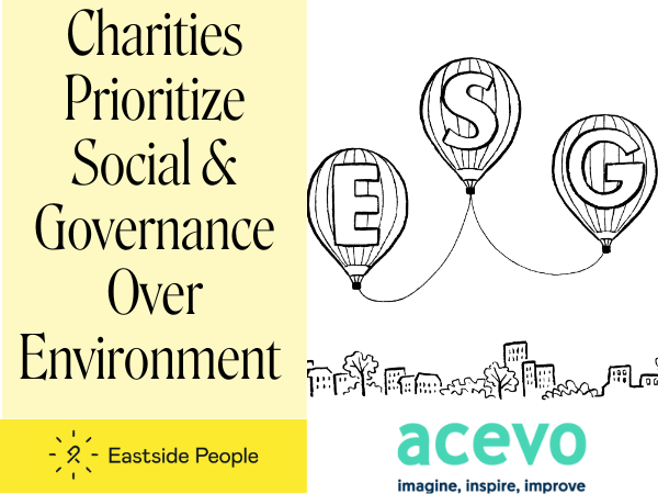 Press Release website post ESG Survey Results Edition 1 ESG charity illustration 3 balloons