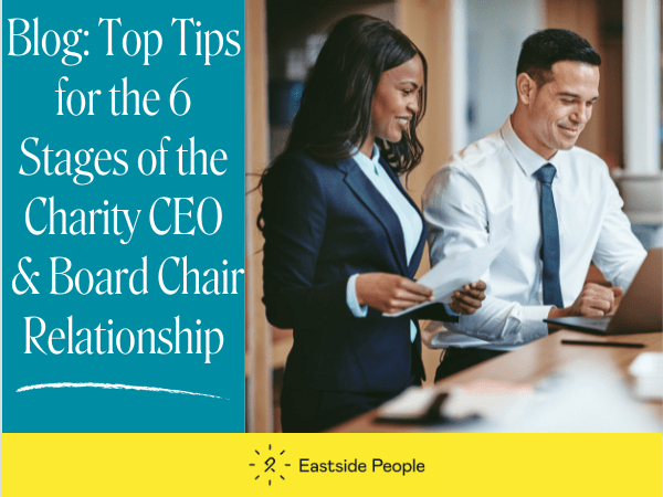 CEO and Chair Top Tips Blog Stephen Elsden Website post V1 2 people looking at a laptop