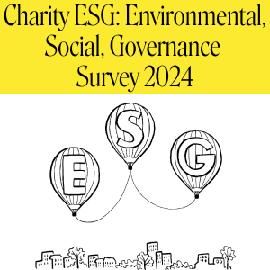 website banner showing 3 ESG balloons for 2024 survey Environmental, Social & Governance Survey report page