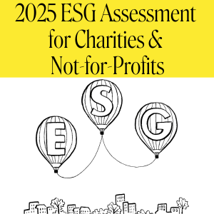 Website banner showing 3 ESG balloons for 2025 survey Environmental, Social & Governance Survey sign-up page