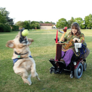 Remap CEO website image a lady in a wheelchair throwing a ball for a jumping dog